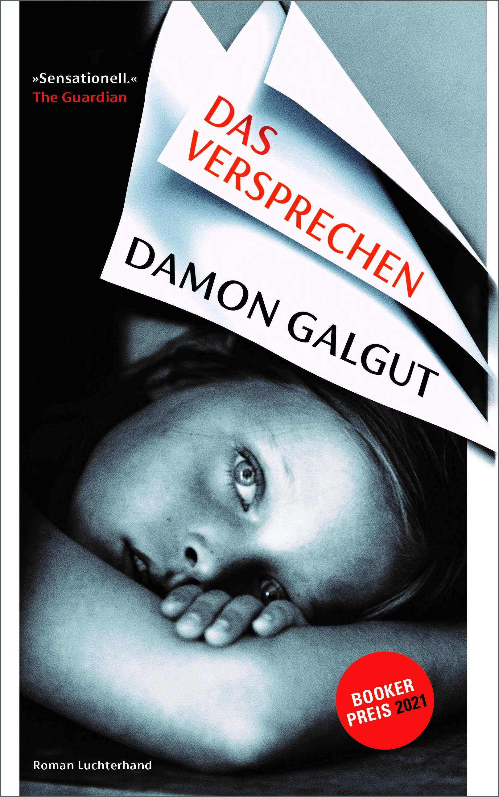 Damon Galgut. Das Versprechen