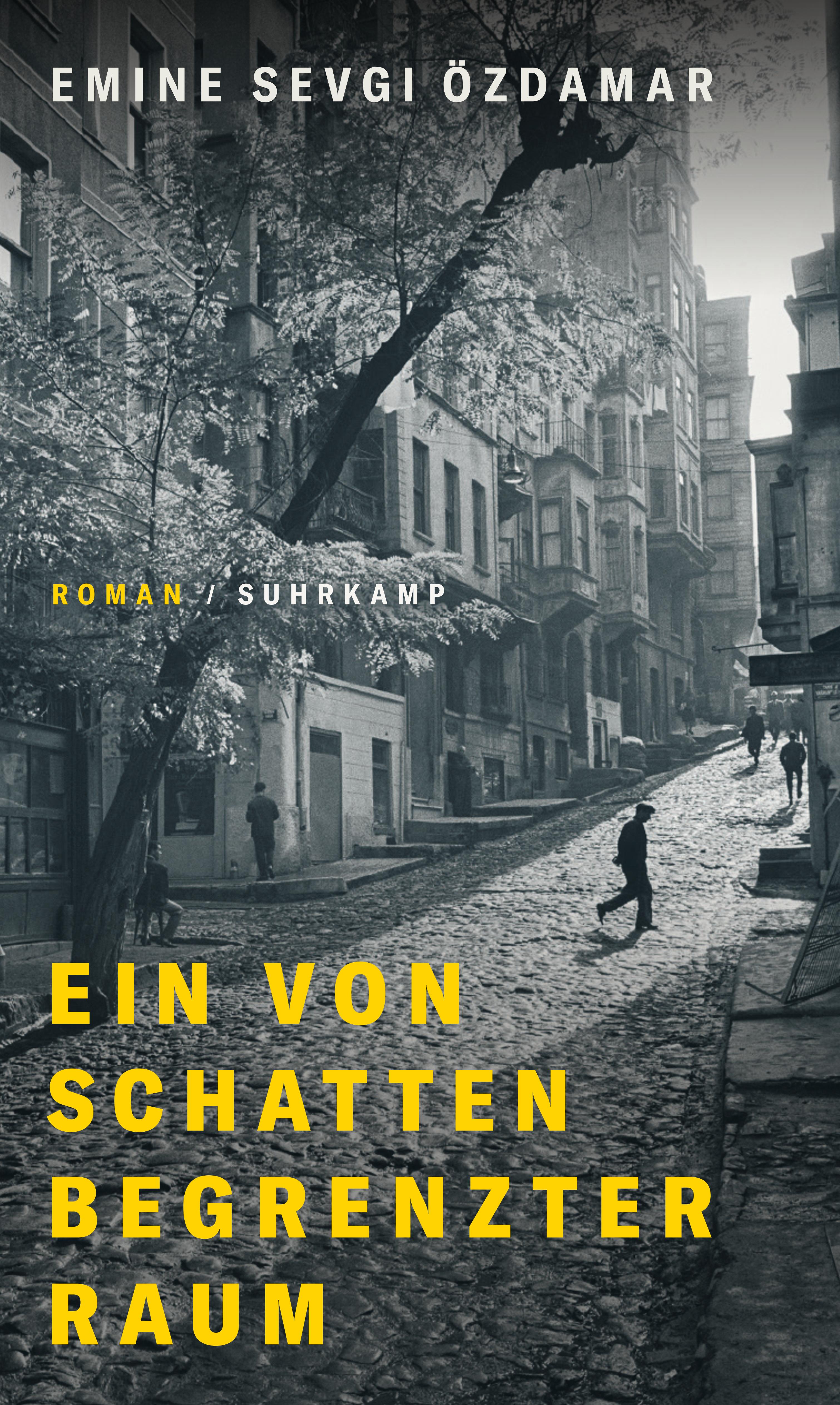 Emine Sevgi Özdamar. Ein von Schatten begrenzter Raum